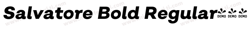 Salvatore Bold Regular字体转换